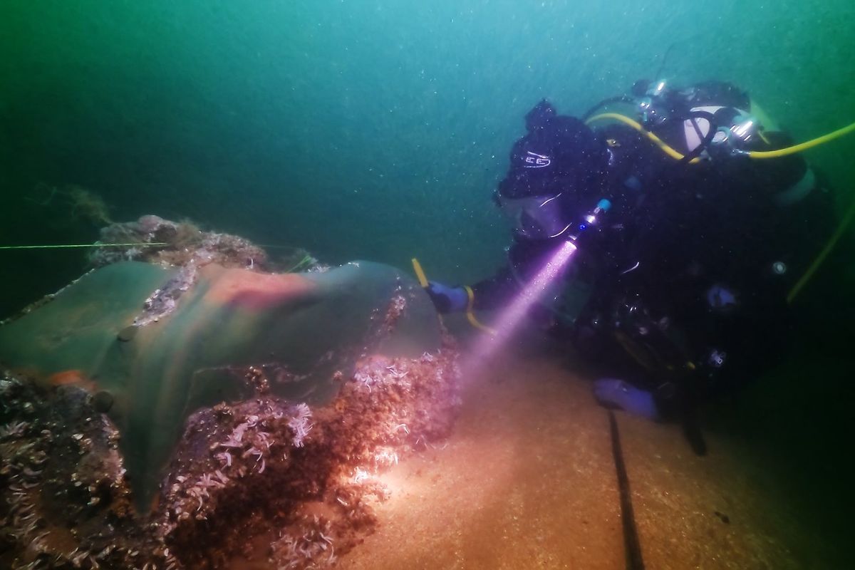 Treasures found off Kent coast by divers
