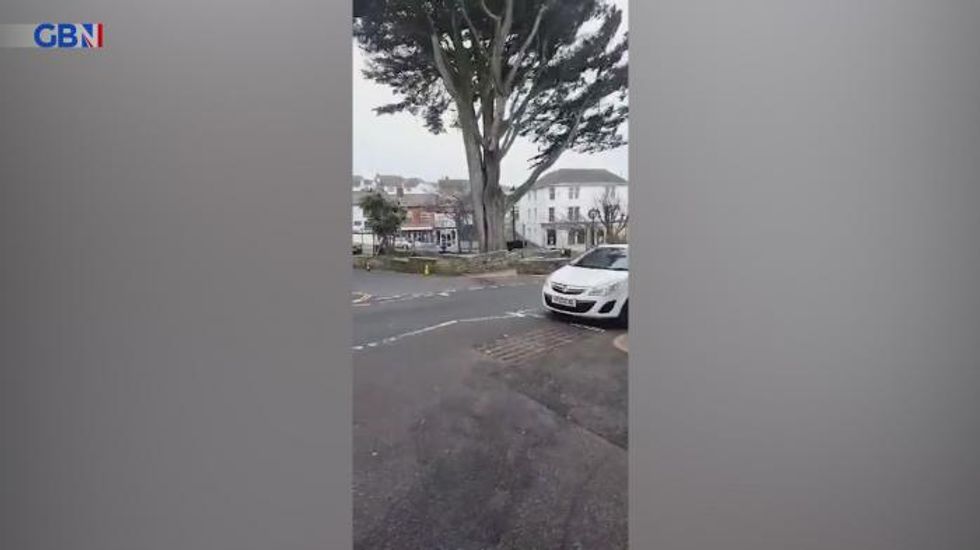 Storm Eunice winds uproot huge tree to send it toppling over in astonishing footage