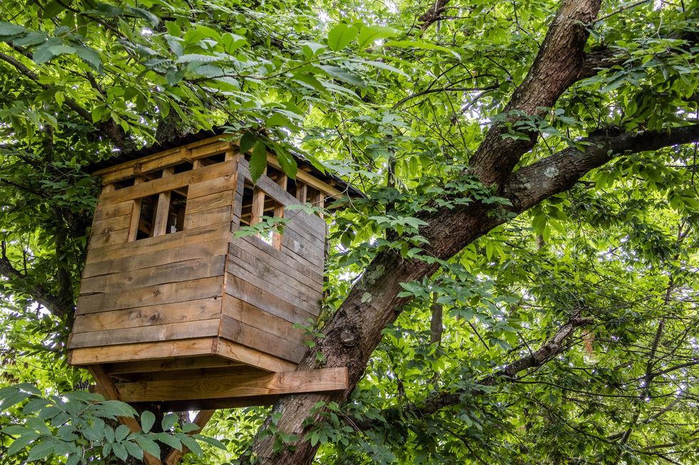 Tree house
