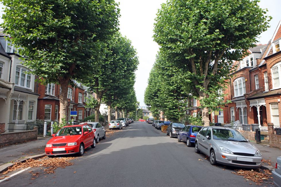 Tree lined UK street with cars parked on either side