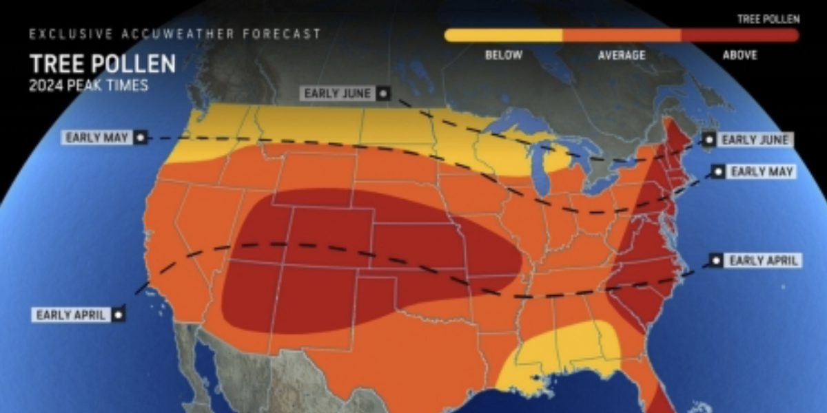 NextImg:US weather: One of the ‘hottest summers on record’ with 'freakishly' high temperatures to drive triple-peak pollen explosion