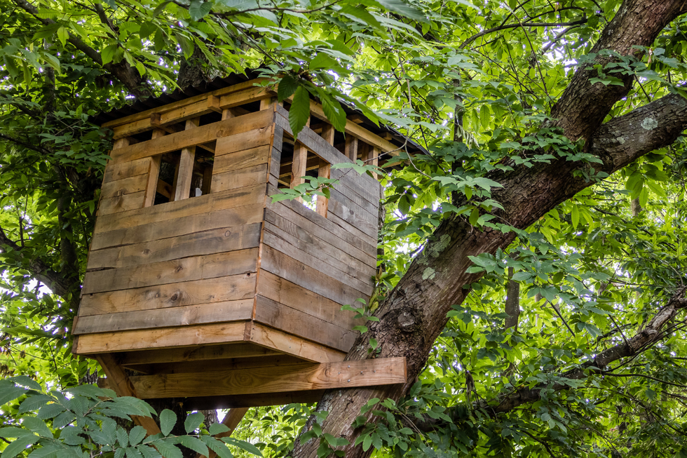 Treehouse (Stock)