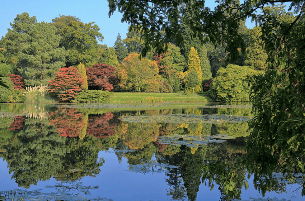 Trees and lake in Chelmsford, Essex