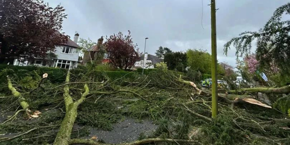 NextImg:UK hit by TORNADOES: Freak weather event causes damage across the country