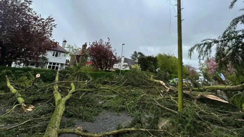 Trees downed in West Bridgford