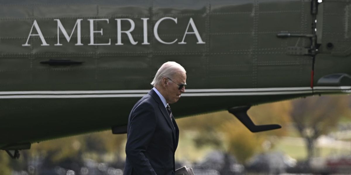 NextImg:Joe Biden feeling 'lonely' after being told to 'stay home' by Harris campaign as polls close
