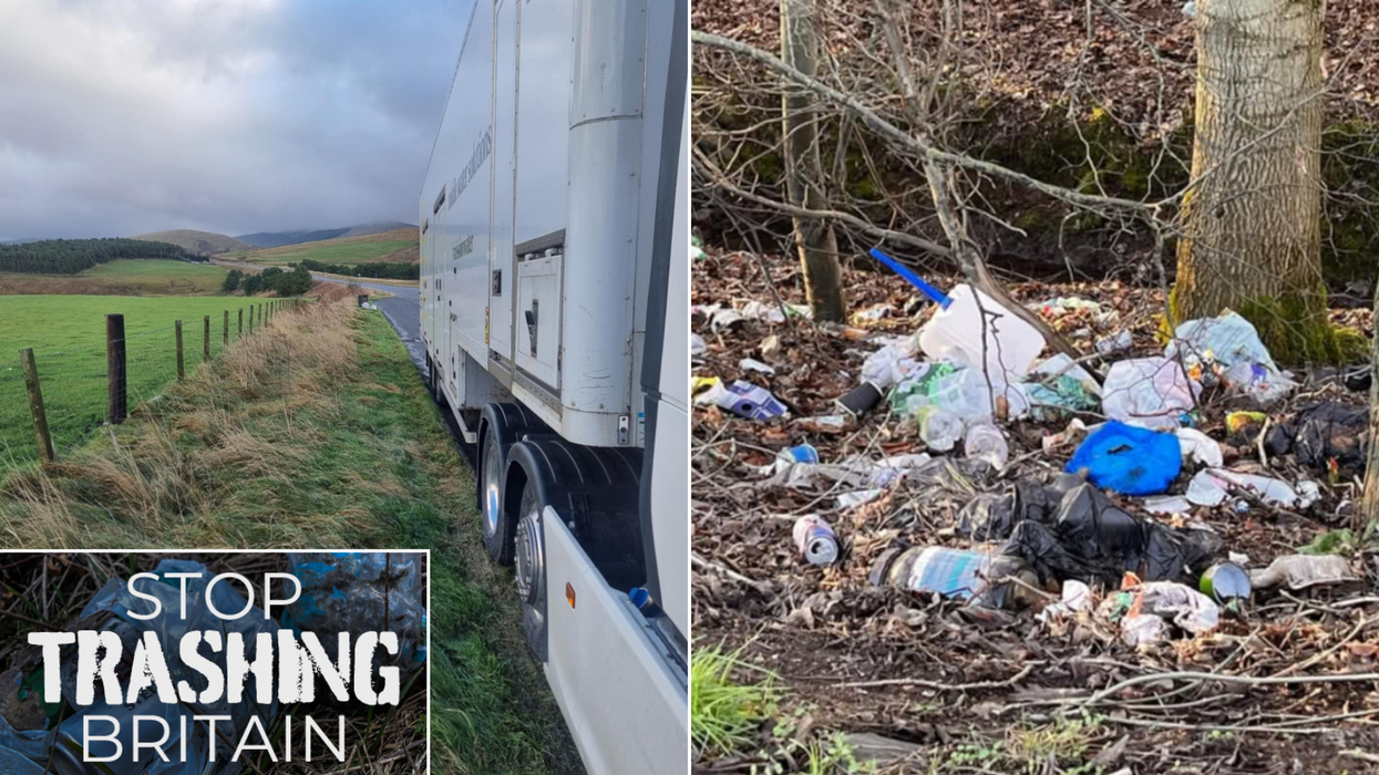 Truck/litter by road