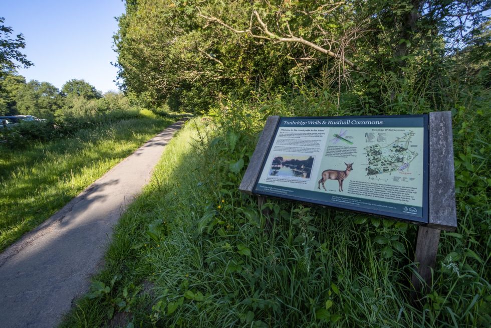 Tunbridge Wells and Rusthall Commons