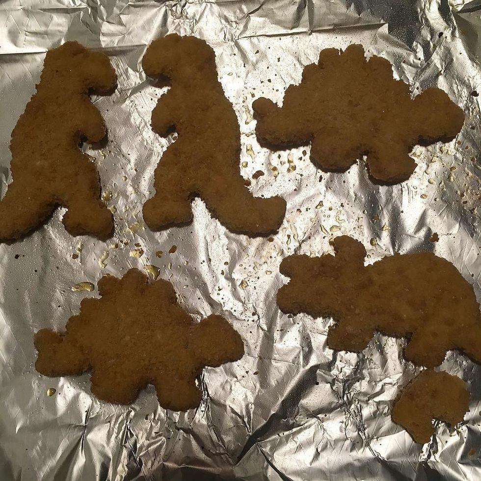 Turkey dinosaurs