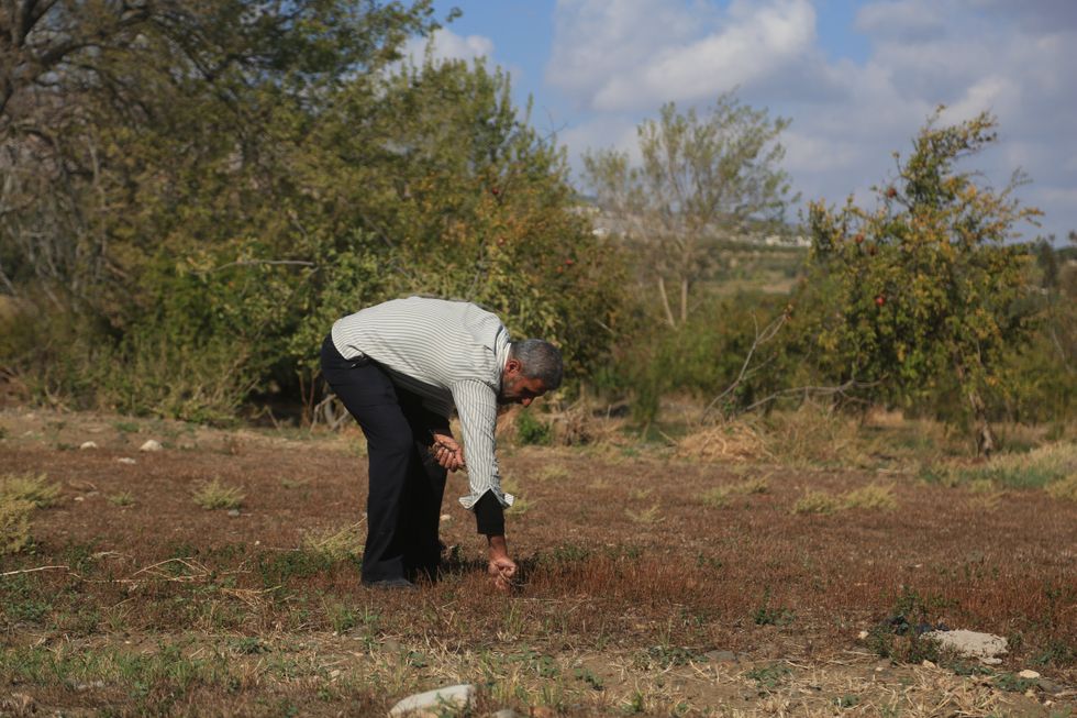 Turkish farmer