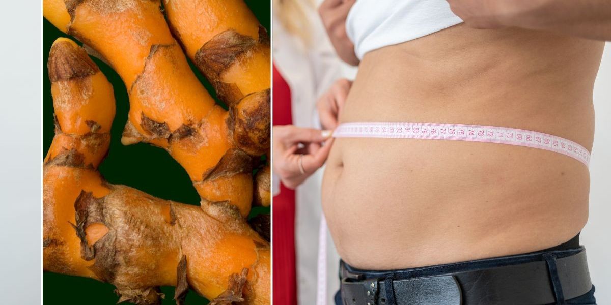 ‘Golden spice’ shown to support fat loss and promote notable waistline reductions ‘Golden spice’ shown to support fat loss and promote notable waistline reductions