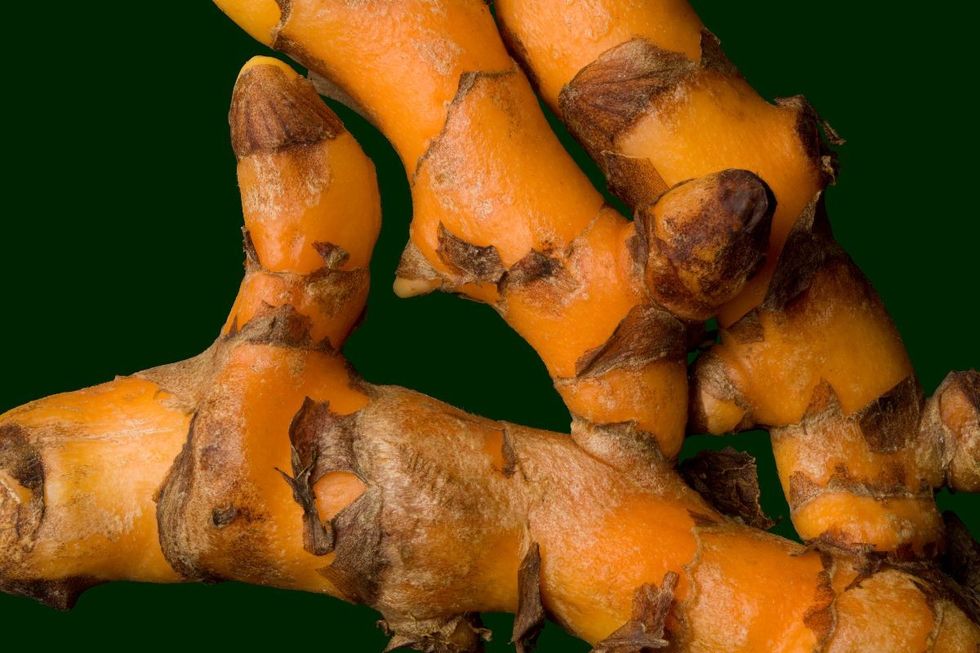 Turmeric root