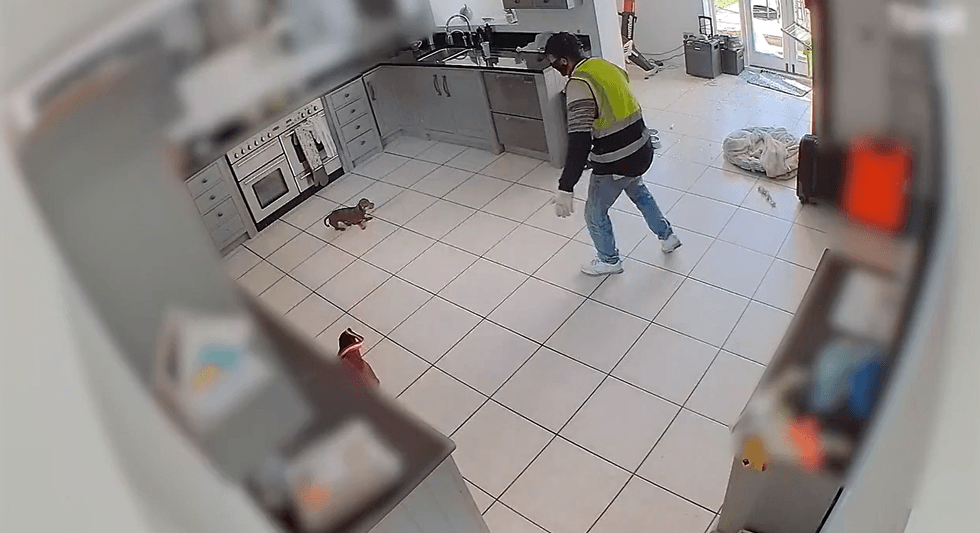 Twiglet\u2019s family and Essex Police had previously issued appeals for anyone with information to come forward