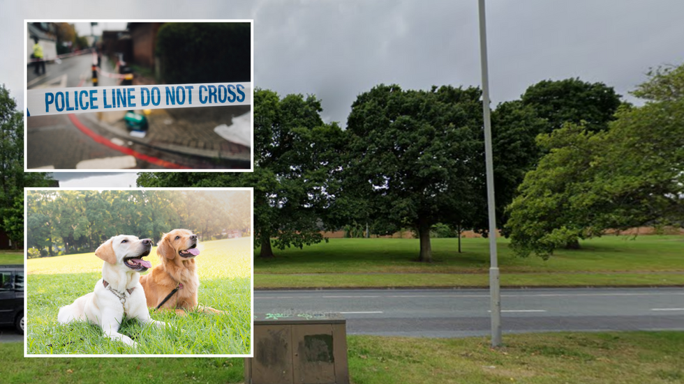 Two dogs (stock)/police tape/Childwall Valley Road
