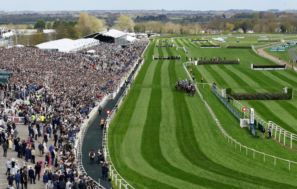 Two other horses fell during the same race but have fortunately returned to their stables