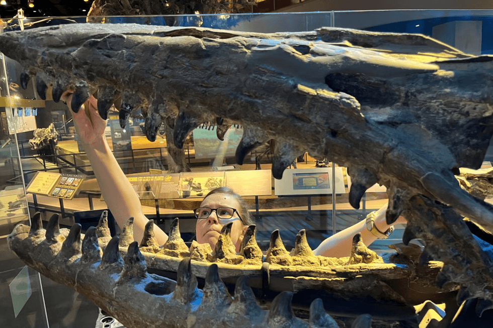 Tylosaurus specimen