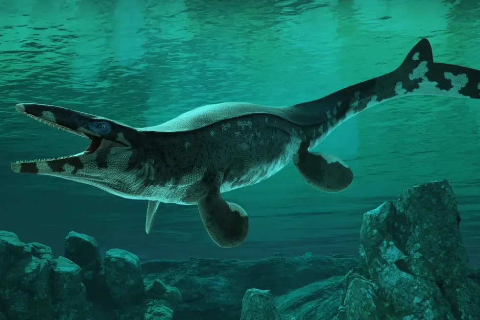 Tylosaurus