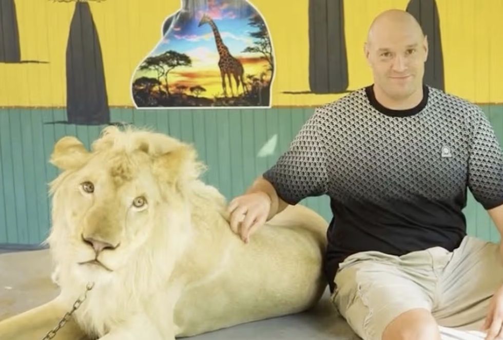 Tyson Fury declared himself "the only King of the Jungle" in the video