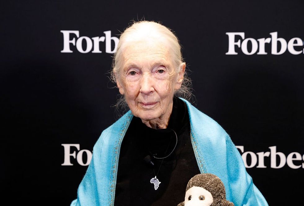 \u200b Dr. Jane Goodall, DBE