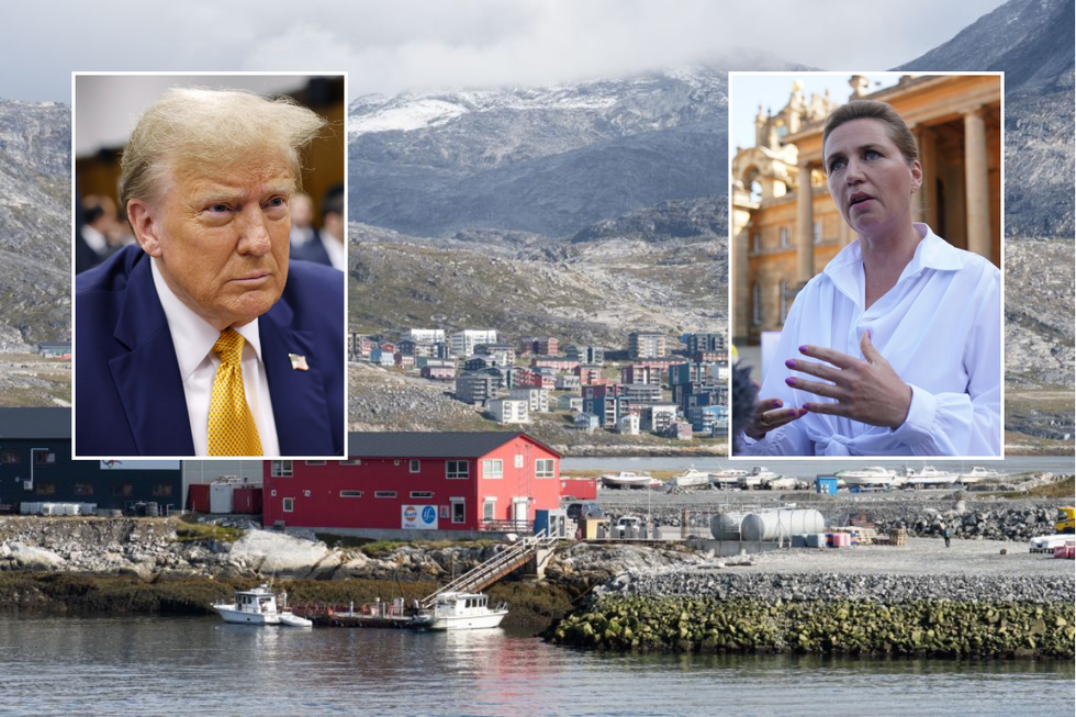 \u200b Prime Minister of Denmark/Greenland/Donald Trump