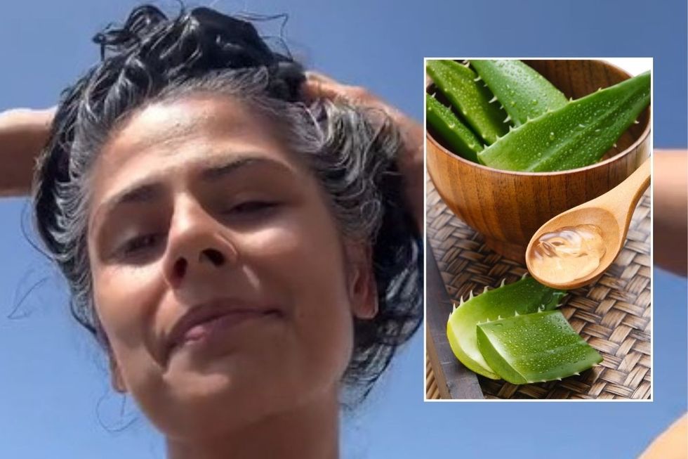 \u200b\u200bAloe Vera