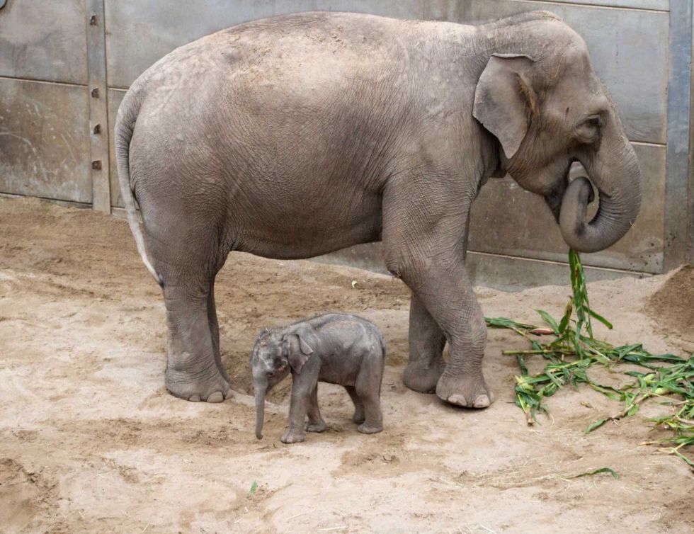 \u200b\u200bTara and Zaiya have been left for privacy