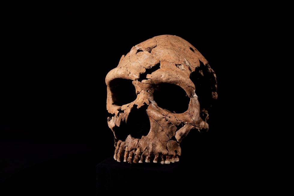\u200b75,000-year-old Neanderthal skull