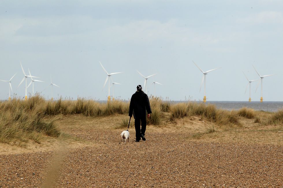 \u200bA dog walker on the sand dunes passes offshore wind turbines in the Norfolk seaside town of Great Yarmouth