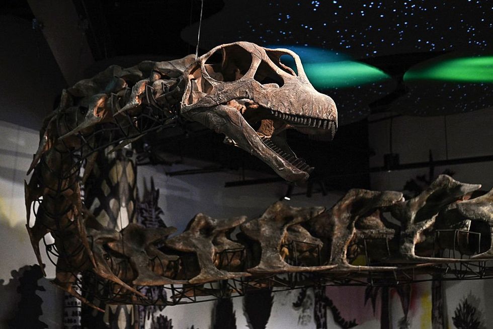 \u200bA model skeleton of Nagatitan chaiyaphumensis