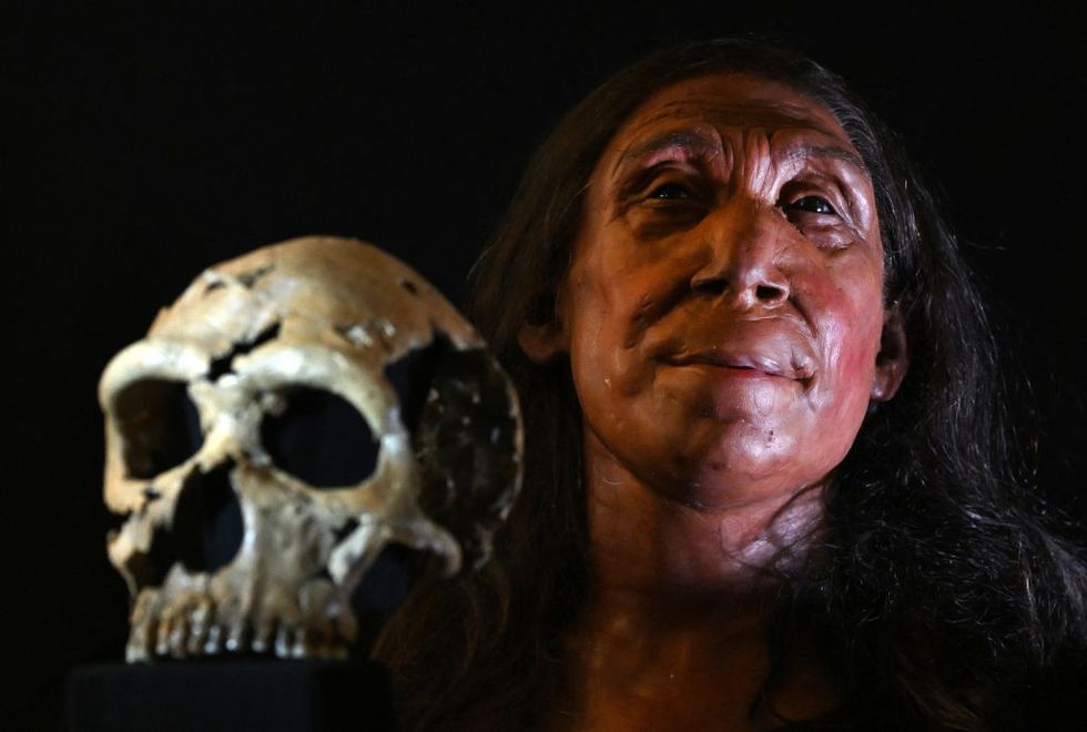 \u200bA picture shows the rebuilt skull and a physical reconstruction of the face and head, of a 75,000-year-old Neanderthal woman, named Shanidar Z