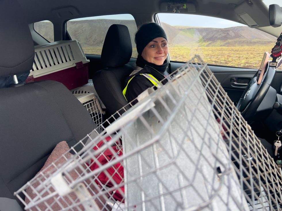 \u200bA resident of the town collecting her cats