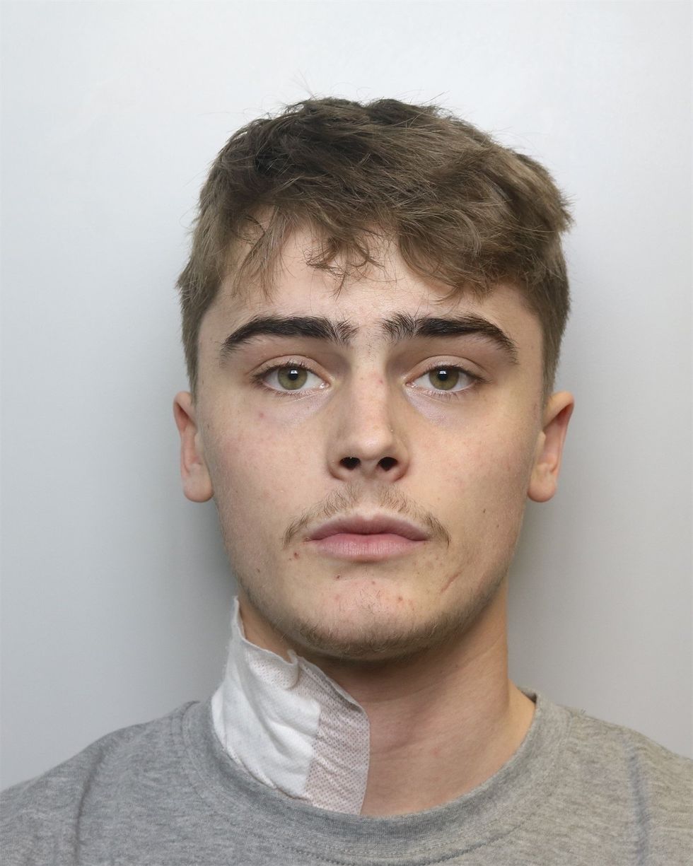 \u200bAlfie Franco, 20, has been jailed