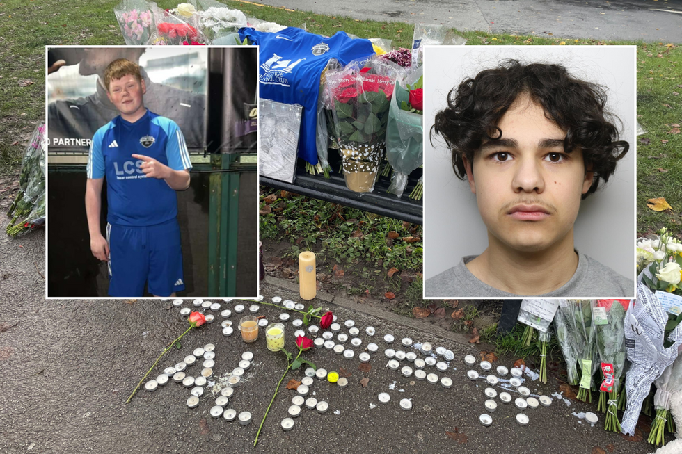 \u200bAlfie Lewis, was stabbed to death by Bardia Shojaeifard