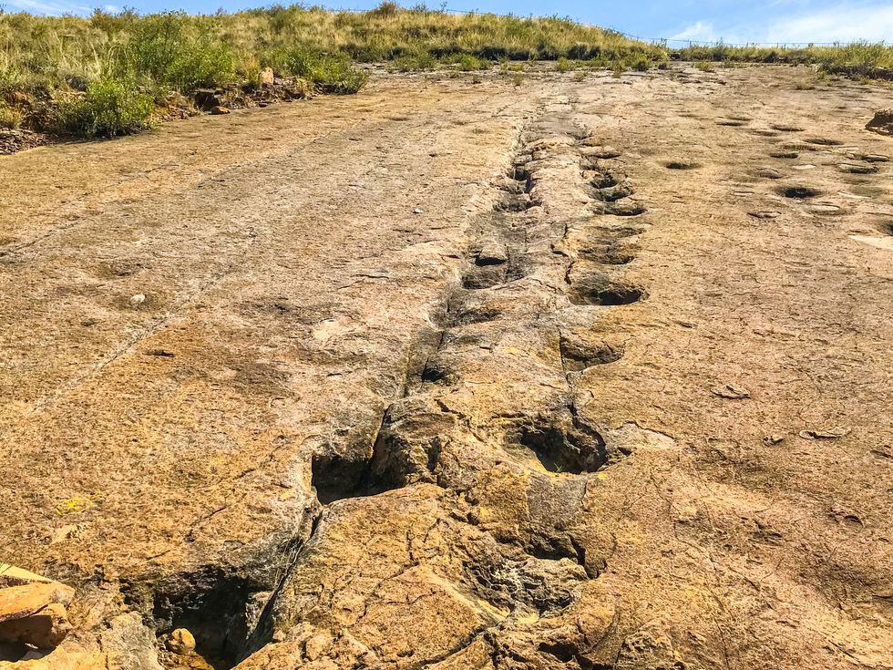 \u200bAnkylosaurus Dinosaur Footprints in the Rocks in the Wide Toro Toro National Park Valley in Bolivia