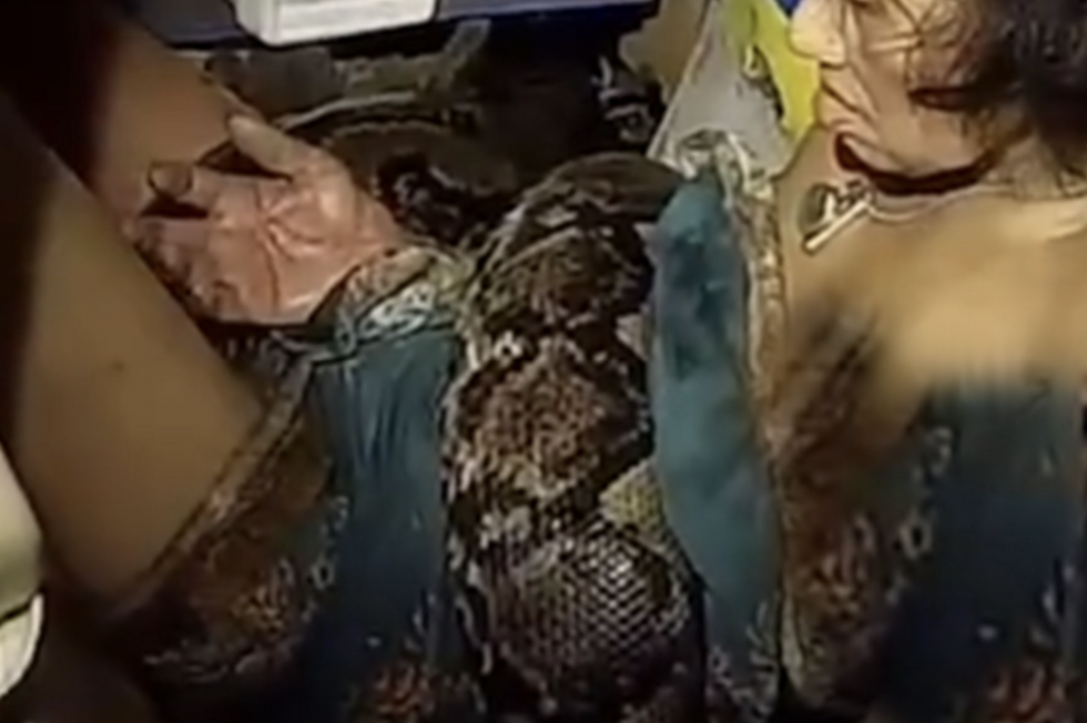 \u200bArrom Arunroj, 64, is held in the coils of 4-metre-long python