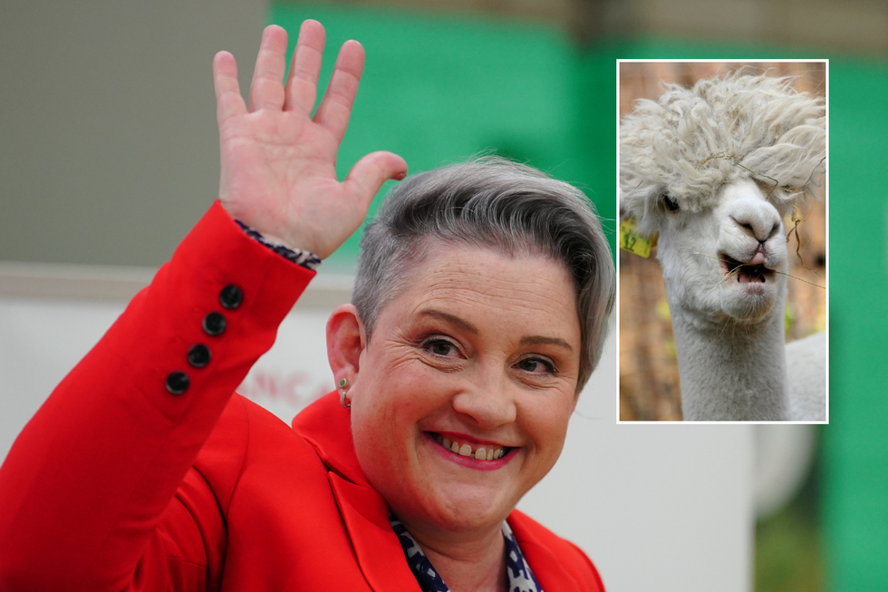Keir Starmer’s new Well being Minister Ashley Dalton claimed individuals can determine as LLAMAS after changing Andrew Gwynne following WhatsApp sacking Keir Starmer’s new Well being Minister Ashley Dalton claimed individuals can determine as LLAMAS after changing Andrew Gwynne following WhatsApp sacking