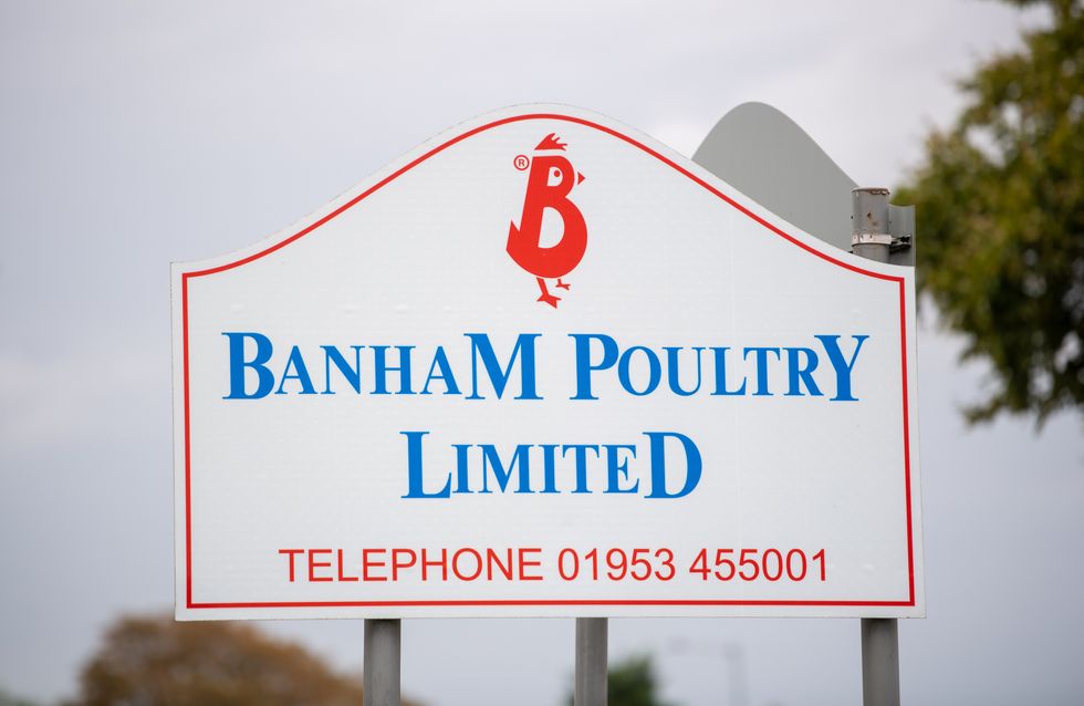 \u200bBanham Poultry Limited