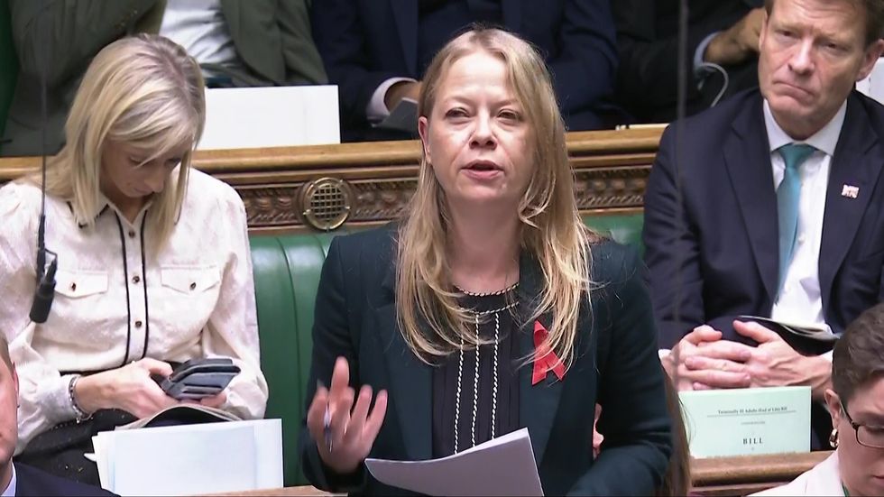 \u200bBrighton Pavilion MP Sian Berry spoke out against the plans