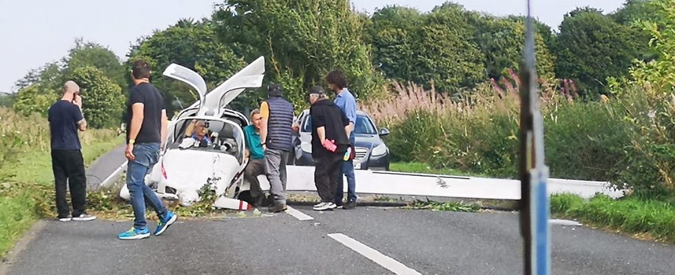 \u200bBystanders checked in on the pair, as debris and foliage surrounded them on the road.