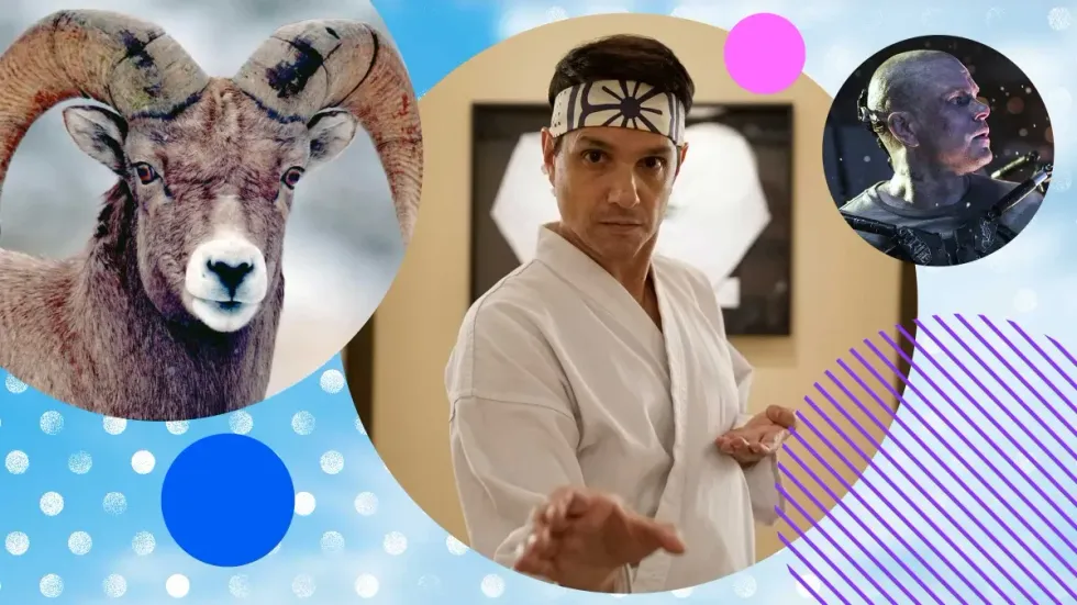 \u200bCobra Kai and Elysium previews shown on Virgin Media branding