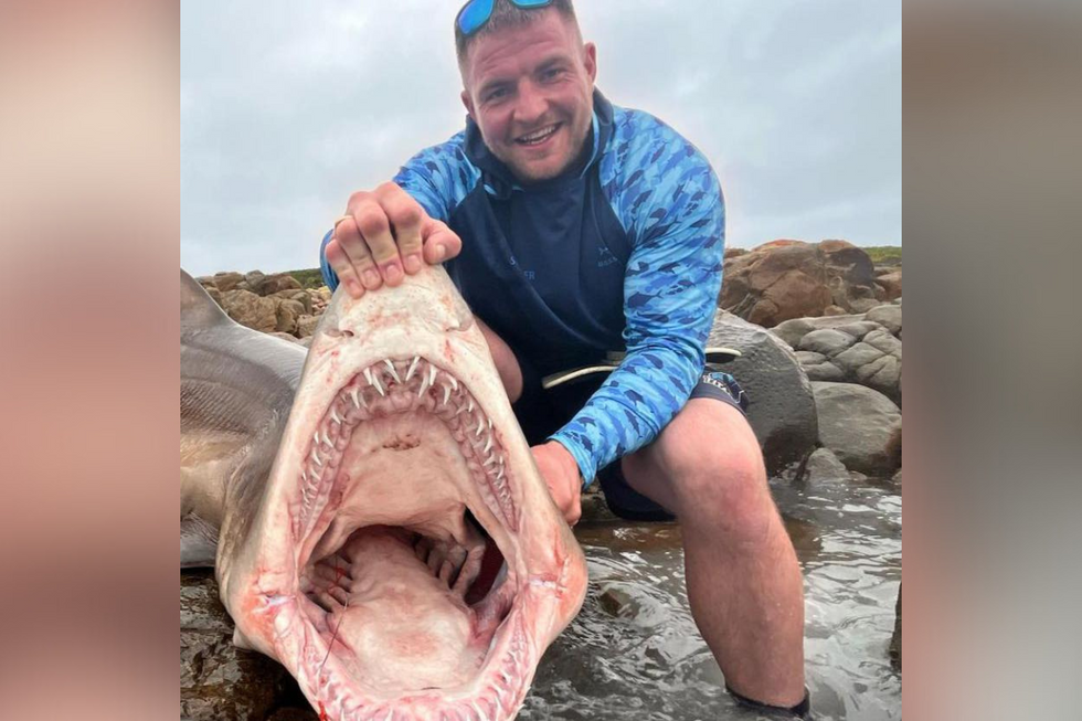 \u200bCurtis Miller with a seperate shark caught on the trip