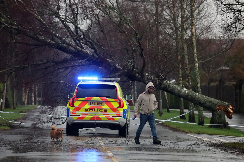 \u200bDamage caused by Storm Eowyn
