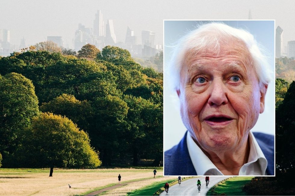 \u200bDavid Attenborough