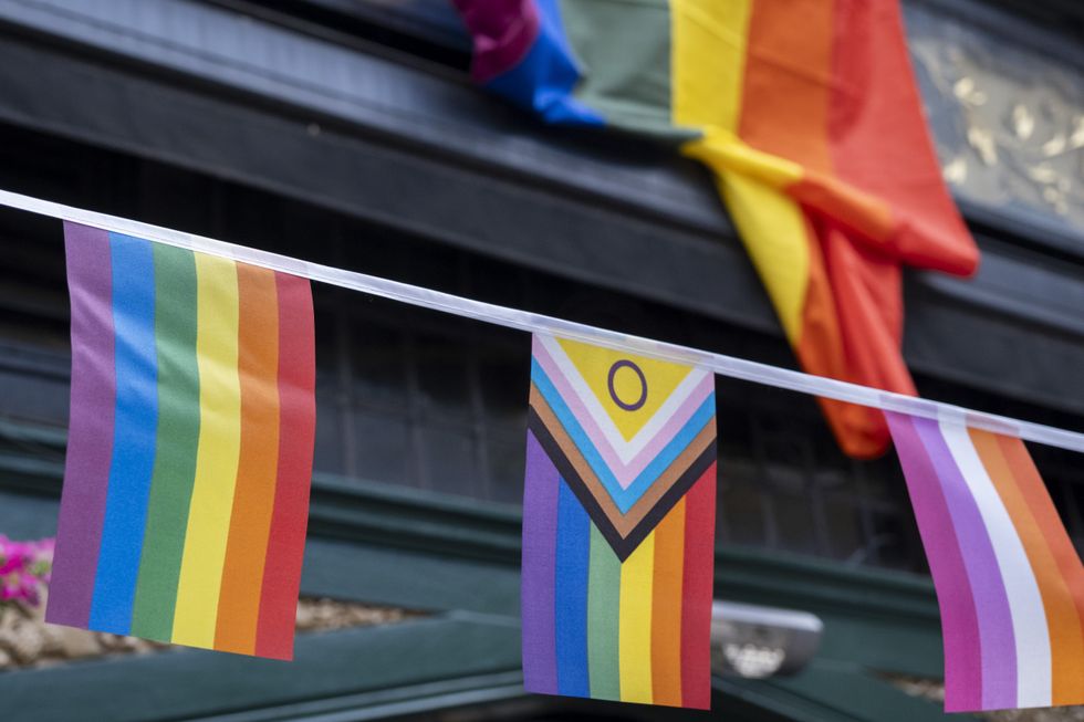 u200bDifferent LGBT flags - the school children are being taught 300
