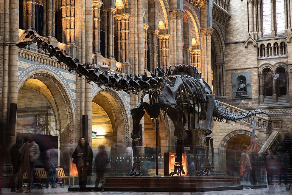 \u200bDippy the Diplodocus