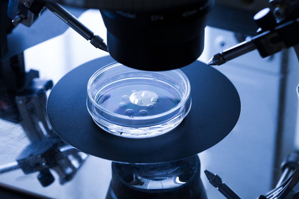 \u200bEggs in a petri dish