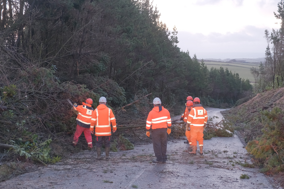 \u200bEmergency services clear fallen trees in St Austell, Cornwall
