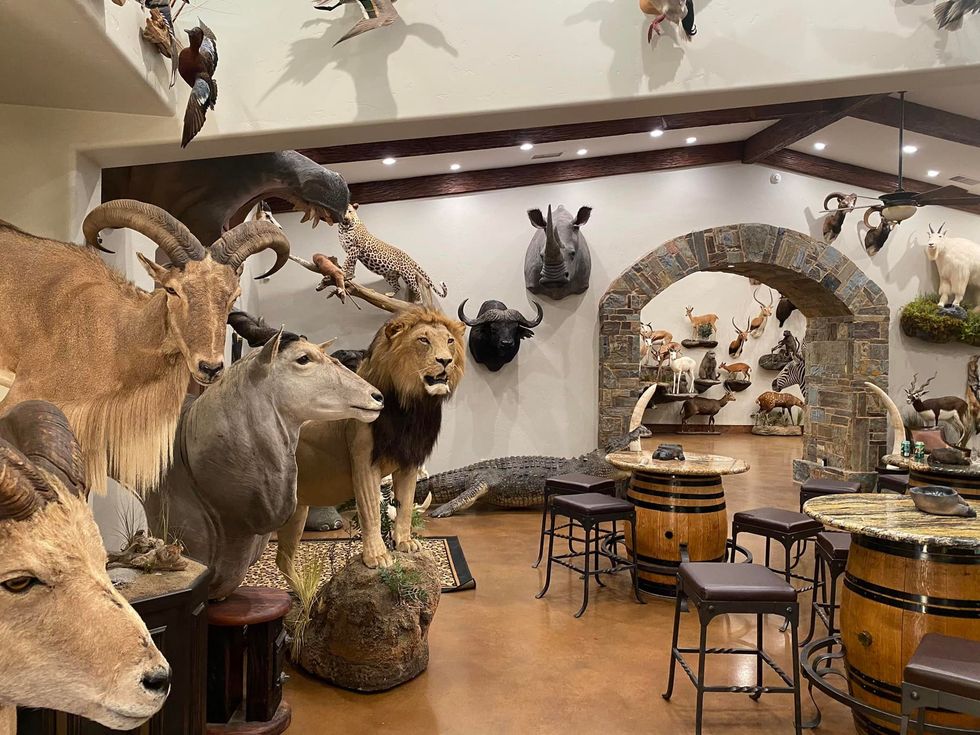 \u200bErnie Dosio's collection of animal trophies