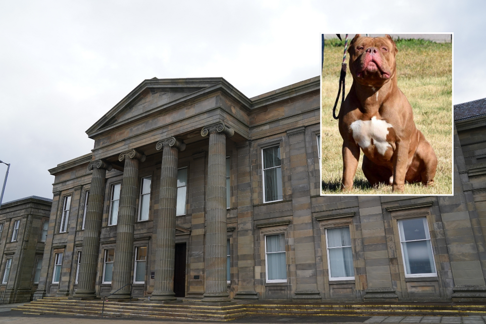 \u200bFalconer appeared at Hamilton Sheriff Court