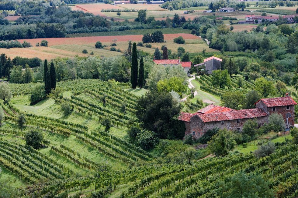 \u200bFriuli-Venezia, Italy